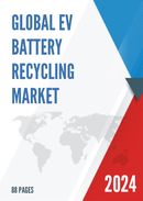 Global EV Battery Recycling Market Insights and Forecast to 2028