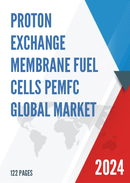 Global Proton Exchange Membrane Fuel Cells PEMFC Market Size Manufacturers Supply Chain Sales Channel and Clients 2021 2027