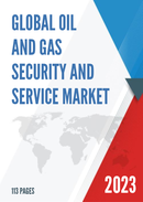 Global Oil and Gas Security and Service Market Research Report 2022