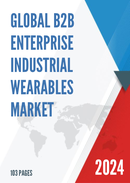 Global B2B Enterprise Industrial Wearables Market Research Report 2022