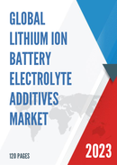 Global Lithium Ion Battery Electrolyte Additives Market Research Report 2022