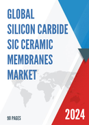 Global Silicon Carbide SiC Ceramic Membranes Market Outlook 2022