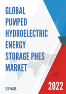 Global Pumped Hydroelectric Energy Storage PHES Market Insights and Forecast to 2028