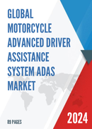 Global Motorcycle Advanced Driver Assistance System ADAS Market Size Status and Forecast 2021 2027