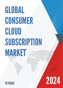 Global Consumer Cloud Subscription Market Size Status and Forecast 2021 2027