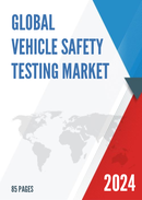 Global Vehicle Safety Testing Market Insights Forecast to 2029