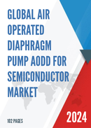 Global Air Operated Diaphragm Pump AODD for Semiconductor Market Research Report 2024