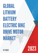 Global Lithium Battery Electric Bike Drive Motor Market Insights Forecast to 2028