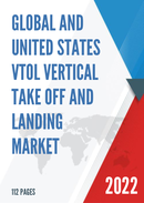 Global and China VTOL Vertical Take Off and Landing Market Size Status and Forecast 2021 2027