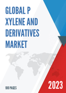Global P xylene and Derivatives Market Insights and Forecast to 2028