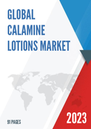 Global Calamine Lotions Market Outlook 2022