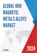 Global Non Magnetic Metals Alloys Market Insights and Forecast to 2028