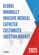 Global Minimally Invasive Medical Catheter Customized Solution Market Research Report 2024
