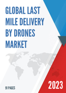 Global Last Mile Delivery by Drones Market Size Status and Forecast 2021 2027