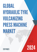 Global Hydraulic Tyre Vulcanizing Press Machine Market Research Report 2024