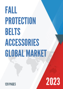 Global Fall Protection Belts Accessories Market Insights Forecast to 2028
