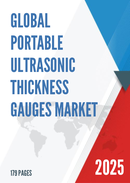 Global Portable Ultrasonic Thickness Gauges Market Outlook In Depth Analysis Forecast to 2031