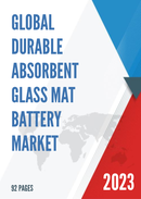 Global Durable Absorbent Glass Mat Battery Market Research Report 2023