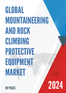 Global Mountaineering and Rock Climbing Protective Equipment Market Insights Forecast to 2029