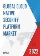 Global Cloud Native Security Platform Market Research Report 2022