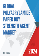 Global Polyacrylamide Paper Dry Strength Agent Market Insights and Forecast to 2028
