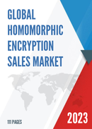 Global Homomorphic Encryption Market Size Status and Forecast 2022