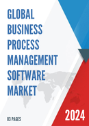 Global Business Process Management Software Market Size Status and Forecast 2021 2027