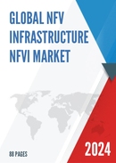 Global NFV Infrastructure NFVI Market Insights and Forecast to 2028