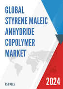 Global Styrene Maleic Anhydride Copolymer Market Outlook 2022