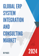 Global ERP System Integration and Consulting Market Insights and Forecast to 2028
