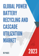 Global Power Battery Recycling and Cascade Utilization Market Insights Forecast to 2028