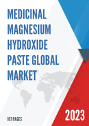 Global Medicinal Magnesium Hydroxide Paste Market Insights and Forecast to 2028
