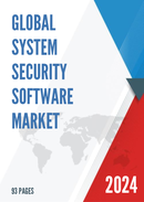 Global System Security Software Market Insights and Forecast to 2028