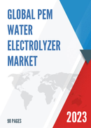 China PEM Water Electrolyzer Market Report Forecast 2021 2027