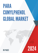 Global Para Cumylphenol Market Outlook 2022