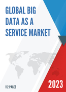 Global Big Data As A Service Market Insights Forecast to 2028