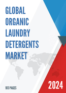 Global Organic Laundry Detergents Market Outlook 2022