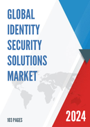 Global Identity Security Solutions Market Research Report 2022