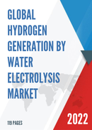 Global Hydrogen Generation by Water Electrolysis Market Research Report 2022