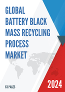 Global Battery Black Mass Recycling Process Market Research Report 2024