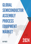 Global Semiconductor Assembly Process Equipment Market Insights and Forecast to 2028