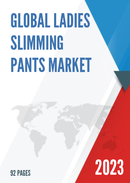 Global Ladies Slimming Pants Market Research Report 2023