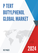 Global P Tert Butylphenol Market Insights and Forecast to 2028