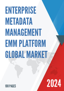 Global Enterprise Metadata Management EMM Platform Industry Research Report Growth Trends and Competitive Analysis 2022 2028