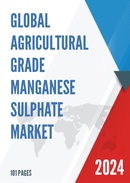 Global Agricultural Grade Manganese Sulphate Industry Research Report Growth Trends and Competitive Analysis 2022 2028