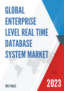 Global Enterprise level Real time Database System Market Research Report 2023