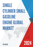 Global Single Cylinder Small Gasoline Engine Market Research Report 2023