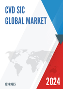 Global CVD SiC Market Insights and Forecast to 2028