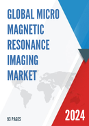 Global Micro Magnetic Resonance Imaging Market Insights and Forecast to 2028