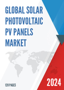 Global Solar Photovoltaic PV Panels Market Insights and Forecast to 2028